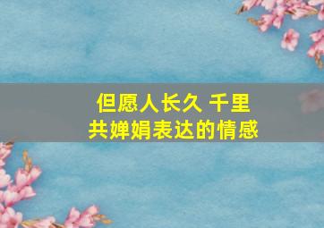 但愿人长久 千里共婵娟表达的情感